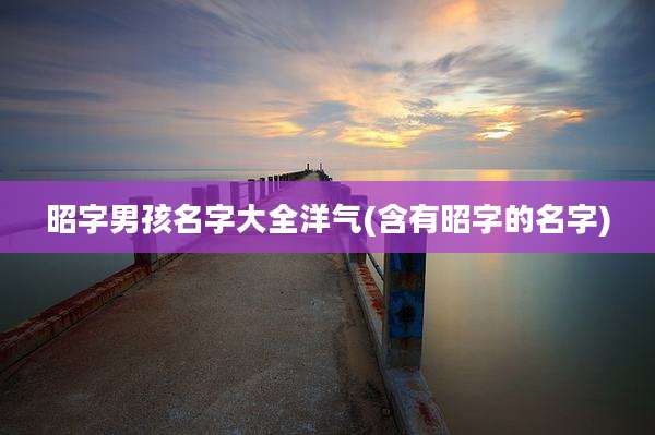 昭字男孩名字大全洋气(含有昭字的名字)