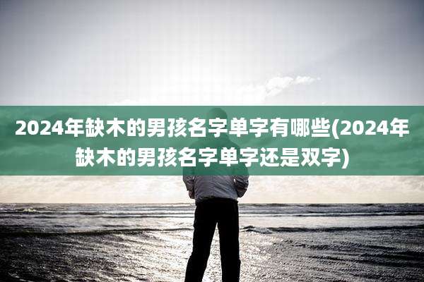 2024年缺木的男孩名字单字有哪些(2024年缺木的男孩名字单字还是双字)