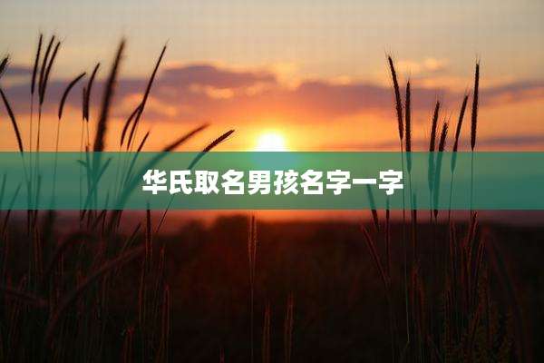 华氏取名男孩名字一字