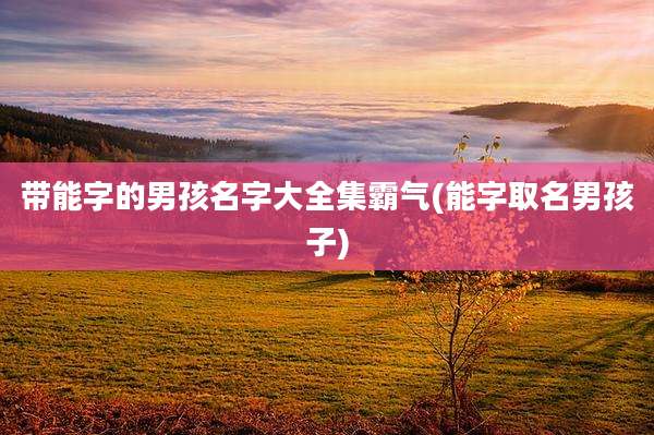 带能字的男孩名字大全集霸气(能字取名男孩子)