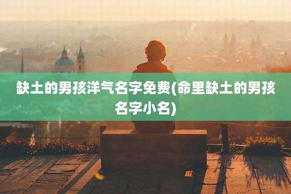 缺土的男孩洋气名字免费(命里缺土的男孩名字小名)