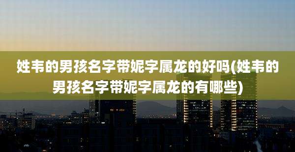 姓韦的男孩名字带妮字属龙的好吗(姓韦的男孩名字带妮字属龙的有哪些)
