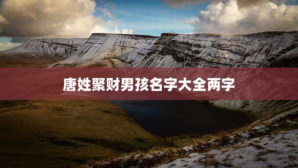 唐姓聚财男孩名字大全两字