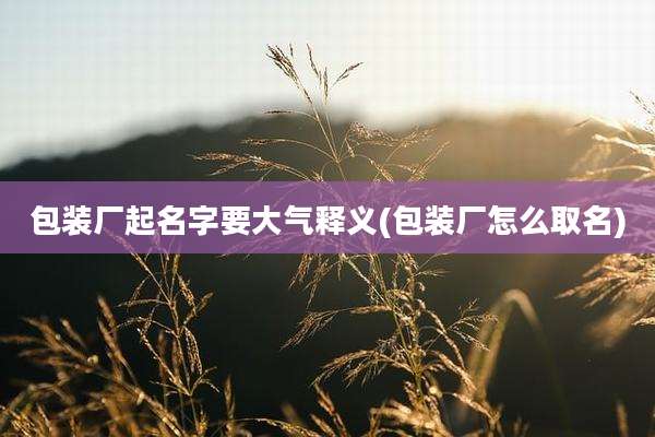 包装厂起名字要大气释义(包装厂怎么取名)