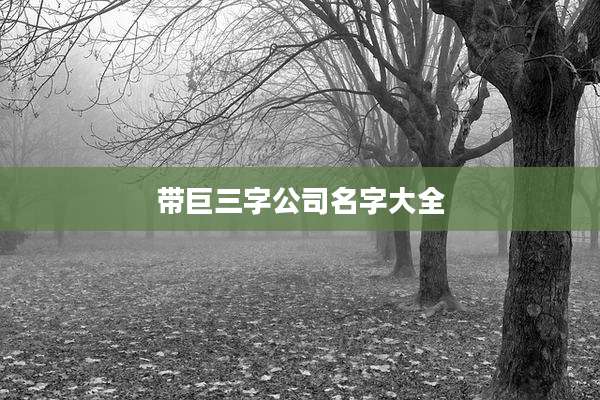 带巨三字公司名字大全