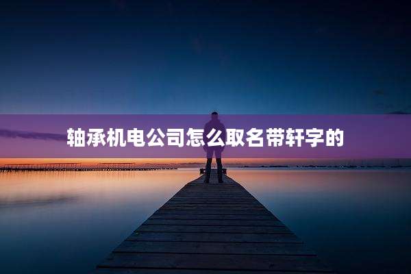 轴承机电公司怎么取名带轩字的