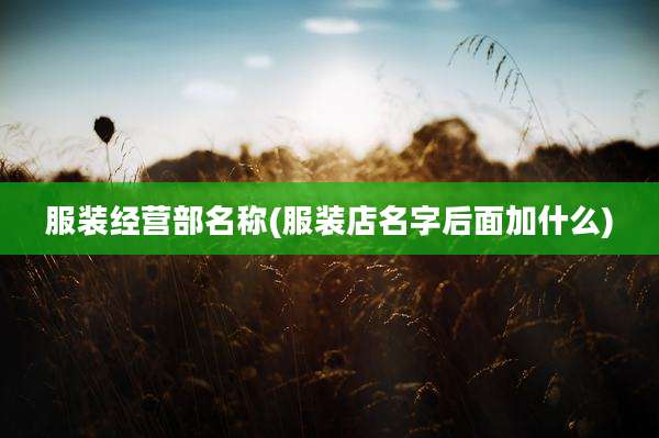 服装经营部名称(服装店名字后面加什么)