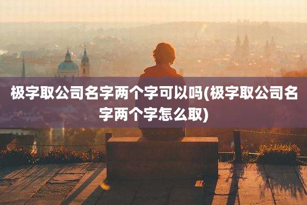 极字取公司名字两个字可以吗(极字取公司名字两个字怎么取)