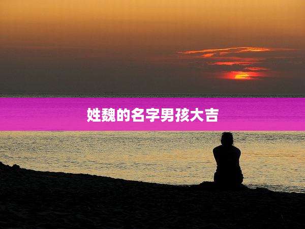 姓魏的名字男孩大吉