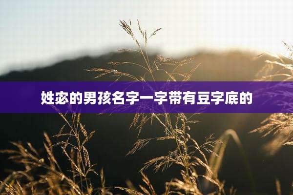 姓宓的男孩名字一字带有豆字底的