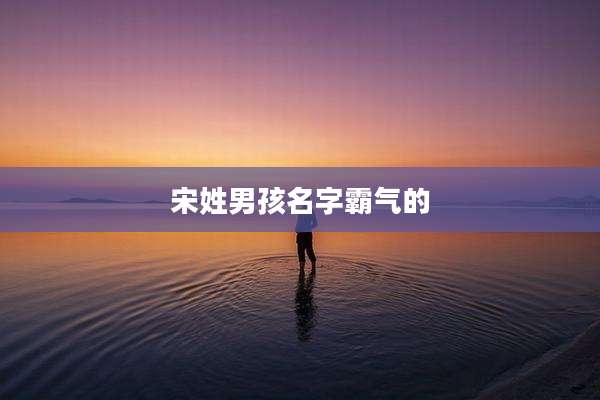 宋姓男孩名字霸气的