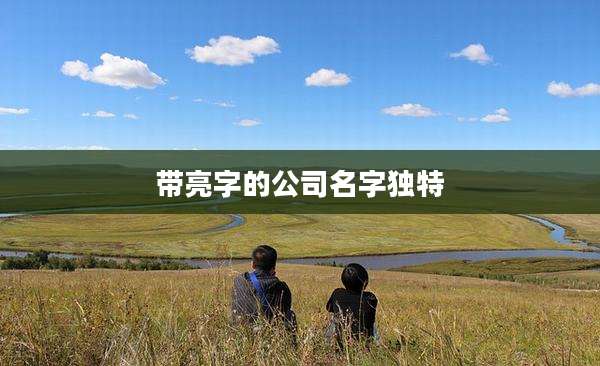 带亮字的公司名字独特