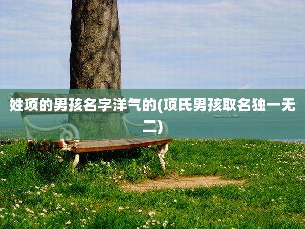姓项的男孩名字洋气的(项氏男孩取名独一无二)