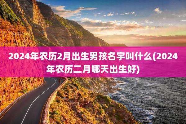 2024年农历2月出生男孩名字叫什么(2024年农历二月哪天出生好)