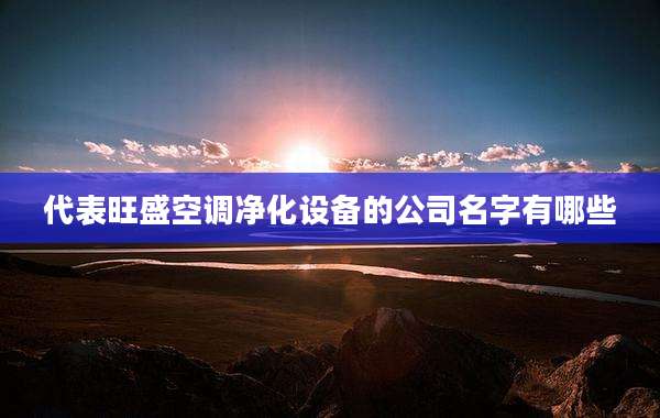 代表旺盛空调净化设备的公司名字有哪些