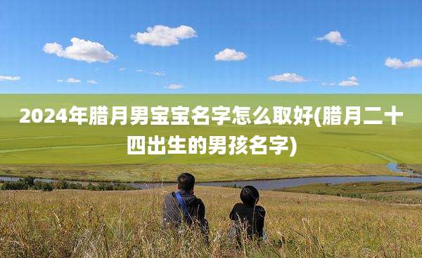 2024年腊月男宝宝名字怎么取好(腊月二十四出生的男孩名字)