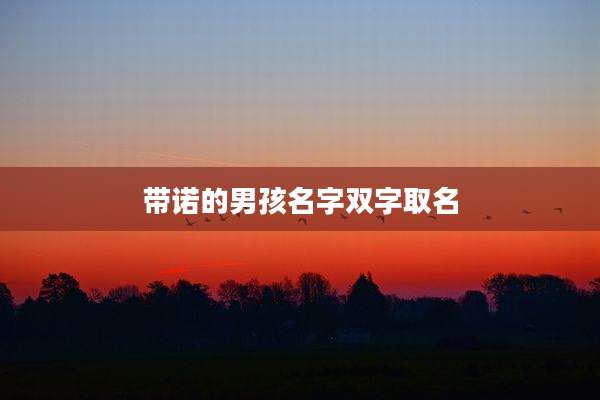 带诺的男孩名字双字取名
