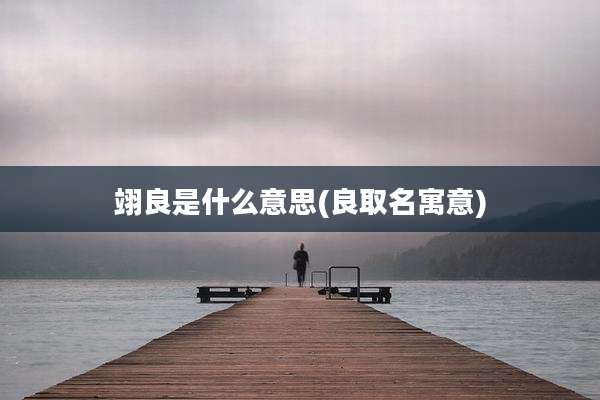 翊良是什么意思(良取名寓意)