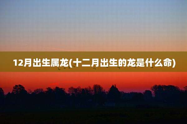 12月出生属龙(十二月出生的龙是什么命)