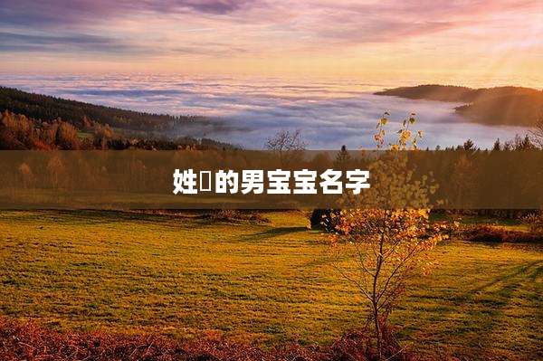 姓冮的男宝宝名字
