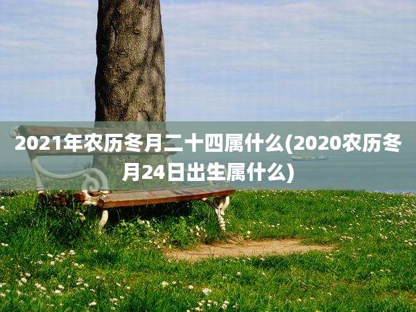 2021年农历冬月二十四属什么(2020农历冬月24日出生属什么)