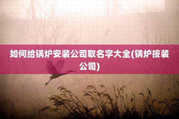 如何给锅炉安装公司取名字大全(锅炉按装公司)