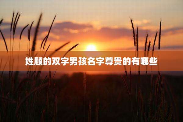 姓顾的双字男孩名字尊贵的有哪些