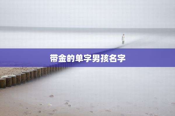 带金的单字男孩名字