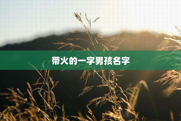带火的一字男孩名字