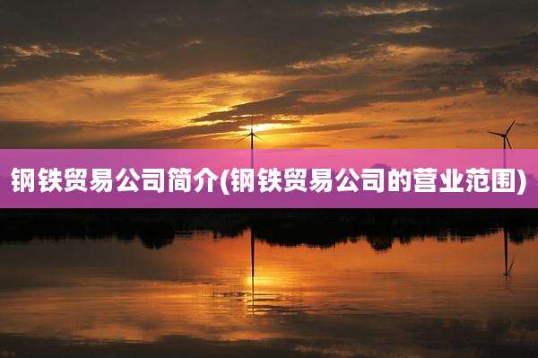钢铁贸易公司简介(钢铁贸易公司的营业范围)