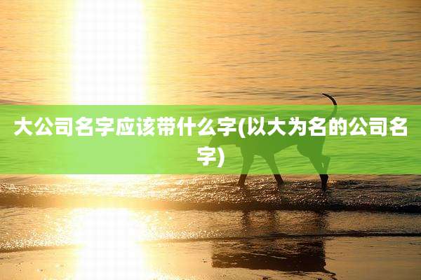 大公司名字应该带什么字(以大为名的公司名字)