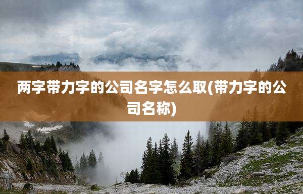 两字带力字的公司名字怎么取(带力字的公司名称)