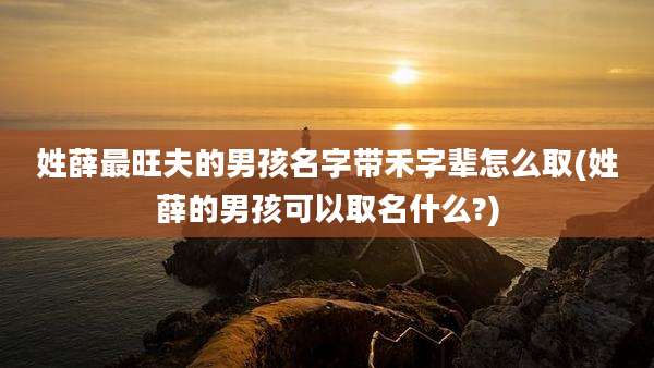 姓薛最旺夫的男孩名字带禾字辈怎么取(姓薛的男孩可以取名什么?)