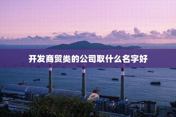 开发商贸类的公司取什么名字好