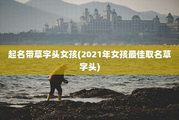 起名带草字头女孩(2021年女孩最佳取名草字头)