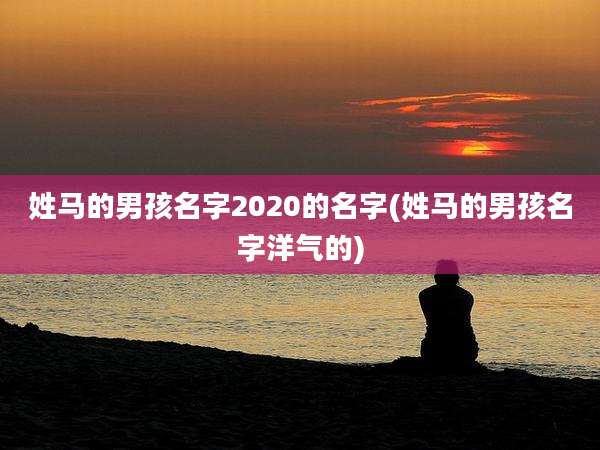 姓马的男孩名字2020的名字(姓马的男孩名字洋气的)