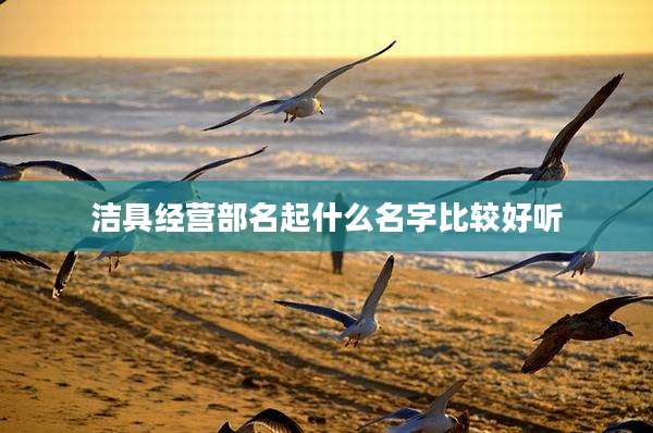 洁具经营部名起什么名字比较好听