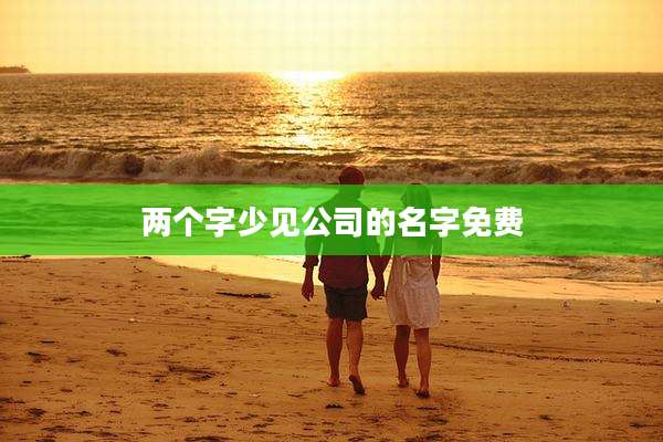 两个字少见公司的名字免费