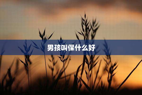 男孩叫保什么好