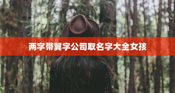 两字带翼字公司取名字大全女孩