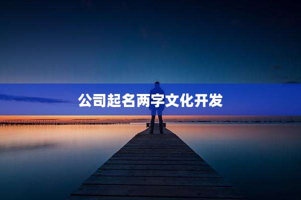 公司起名两字文化开发
