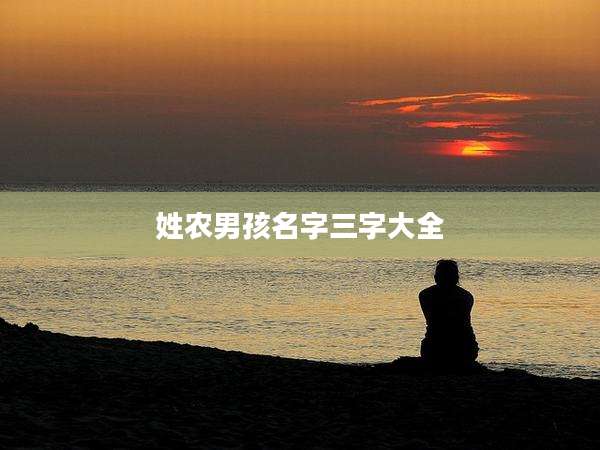 姓农男孩名字三字大全