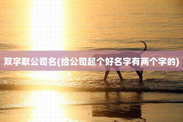 双字取公司名(给公司起个好名字有两个字的)