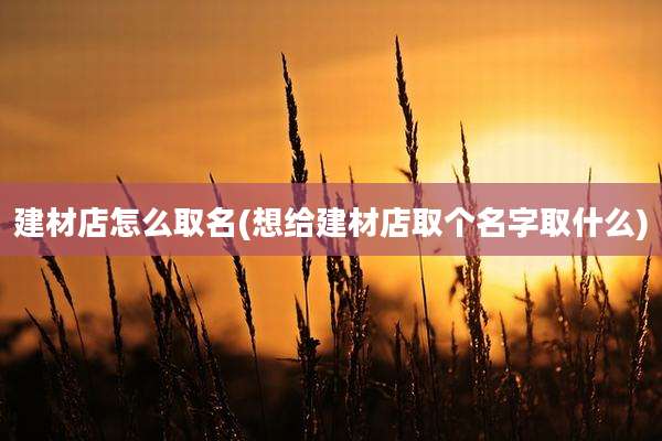 建材店怎么取名(想给建材店取个名字取什么)