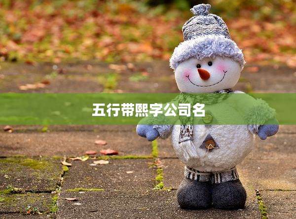 五行带熙字公司名