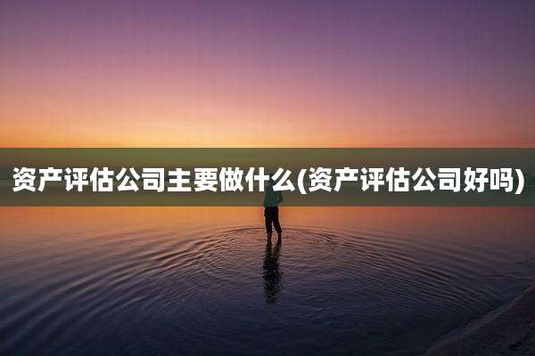 资产评估公司主要做什么(资产评估公司好吗)