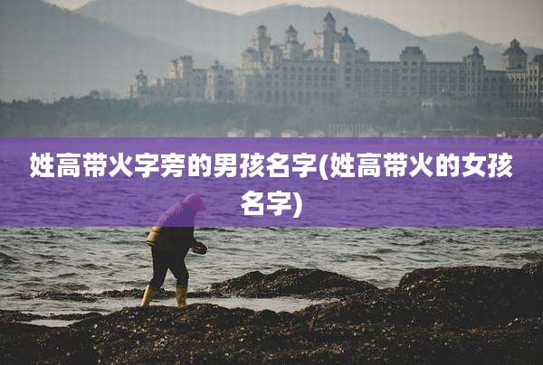 姓高带火字旁的男孩名字(姓高带火的女孩名字)