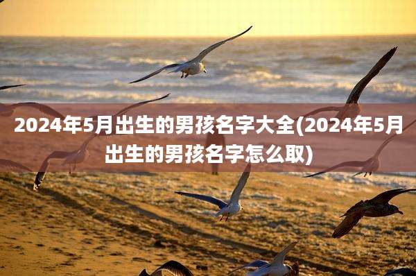 2024年5月出生的男孩名字大全(2024年5月出生的男孩名字怎么取)
