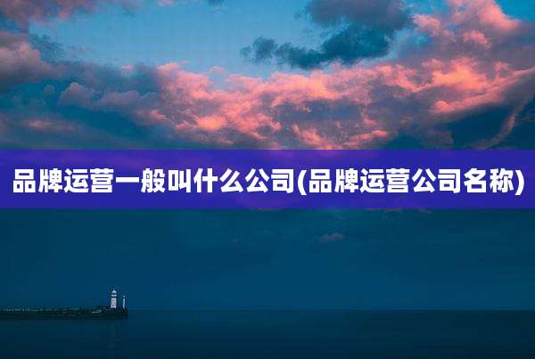 品牌运营一般叫什么公司(品牌运营公司名称)