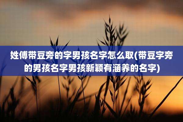 姓傅带豆旁的字男孩名字怎么取(带豆字旁的男孩名字男孩新颖有涵养的名字)